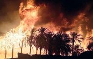 حريق مهول في بشار يتلف 150 نخلة، و السبب مازال مجهولا