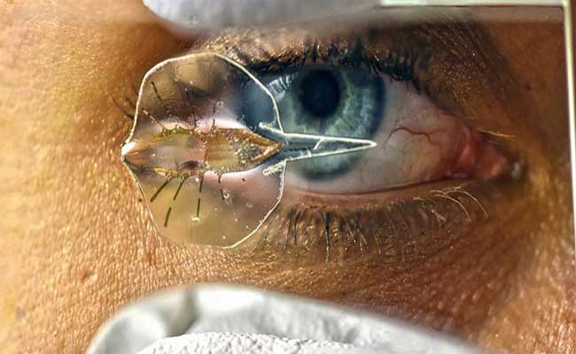 روبوت عبارة عن سمكة الشفنين مصنع من خلايا مستخرجة من قلوب الفأران