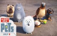 The secret life of pets  يتصدر إيرادات السينما الأمريكية