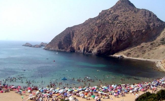 من المنتظر أن تستضيف المخيمات الصيفية بوهران 5500 طفل