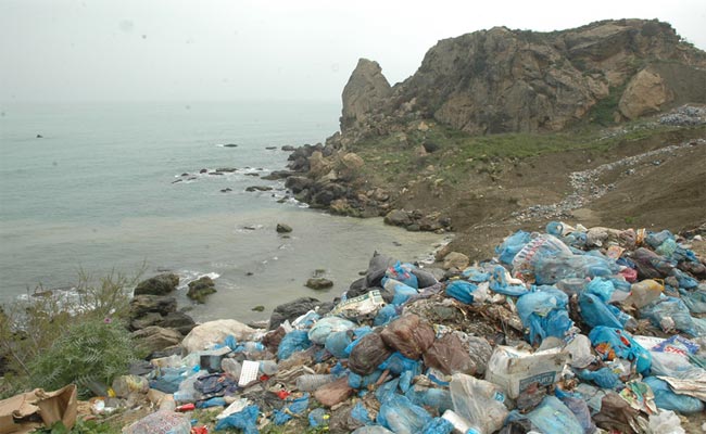تجميع ما يزيد على 5000 طن من النفايات البحرية خلال السداسي الأول من موسم الإصطياف