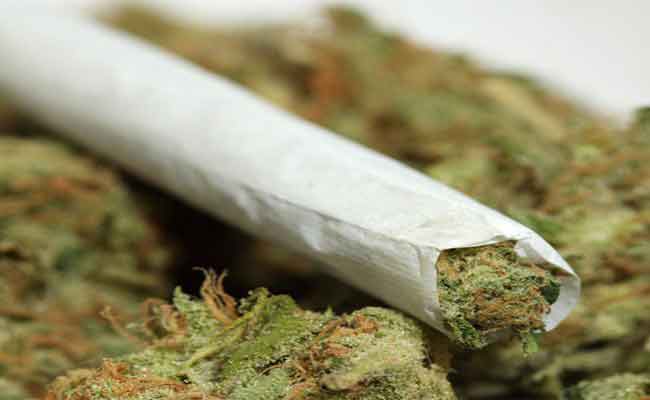 توقيف 3 متورطين و حجز 1.40 كلغ من مخدرات الماريجوانا و 140 غ من الكيف المعالج بوهران