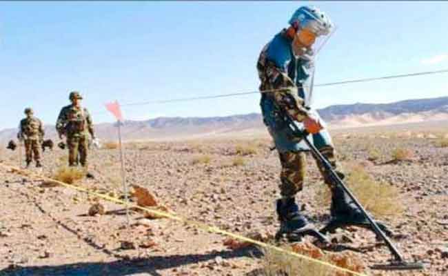 في إطار مكافحة الإرهاب تم كشف لغمين تقليديي الصنع و تدميرهما في ولاية بومرداس