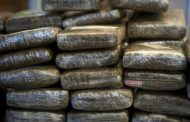 عناصر الجيش الوطني توقف 3 تجار للمخدرات و تحجز أكثر من 16 قنطارا من الكيف المعالج و أسلحة و سيارات بتندوف و معسكر و تلمسان