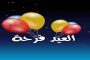 محمد برحال يهدي الجزائر الميدالية الفضية في الألعاب البارالمبية 2016