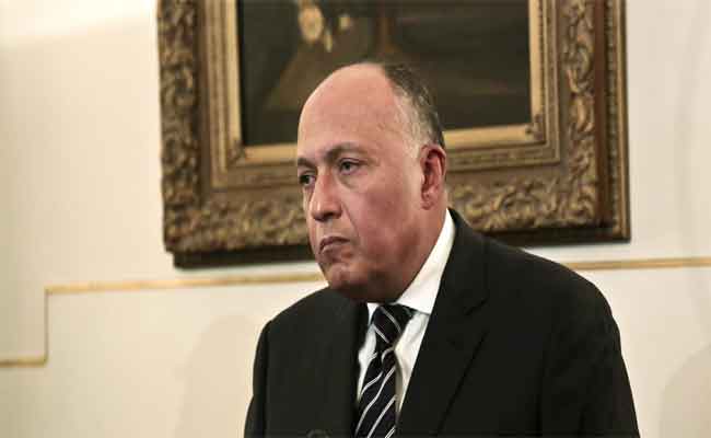 وزير الخارجية المصري يعترف بالاختلاف مع السعودية في الملف السوري