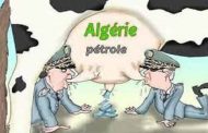 فيكَ الخِصامُ وَأنتَ الخصْمُ وَالحكَمُ  / قام الرئيس بوتفليقة بتشكيل الهيئة الوطنية لمحاربة الفساد !!!