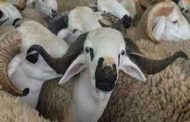عيد الاضحى المبارك يوم الاثنين 12 سبتمبر