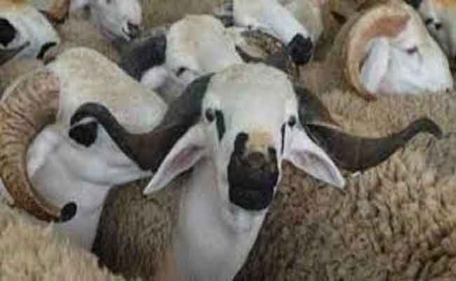 عيد الاضحى المبارك يوم الاثنين 12 سبتمبر
