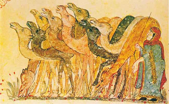 الجزائر العاصمة تحتفي بفن الزخرفة والمنمنمات