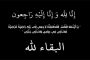 نانسي عجرم تتألق في حفل غنائي بصيدا جنوب لبنان رغم التهديدات