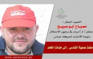 إسرائيل متخوفة من تحول العمليات ضدها من فردية إلى منظمة