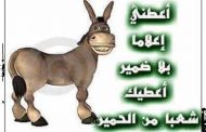 كفى استحمارا للشعب / صحيفة صفراء عنوان كبير : الجزائر تتفوق على تونس والمغرب في المجال السياحي والدليل صحفي متشرد كان يشتغل عندها
