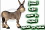 جهاز كمبيوتر صغير بشاشة لمس 6 بوصات