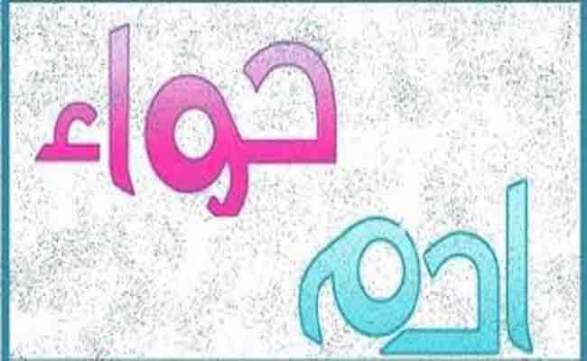 أدم و حواء / هو : نصف جمال المرأة شعرها.  هي : نصف عيوب الرجل جيبه