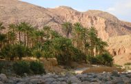 بسكرة الجزائرية تستضيف الأيام المغربية للصور الفوتوغرافية