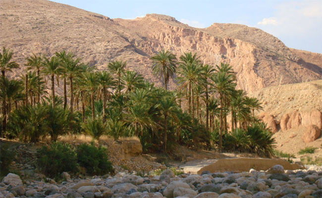 بسكرة الجزائرية تستضيف الأيام المغربية للصور الفوتوغرافية