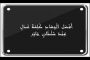 Microsoft Translator : خدمة لترجمة المحادثات الجماعية من مايكروسوفت