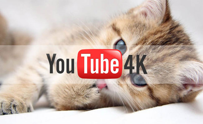 يوتيوب أصبح يدعم البث المباشر بجودة 4K