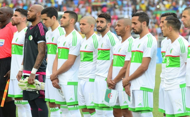 تعيين مدرب أجنبي للخضر في مارس
