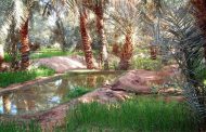 أدرار الجزائرية تحتفي بالشعر الشعبي