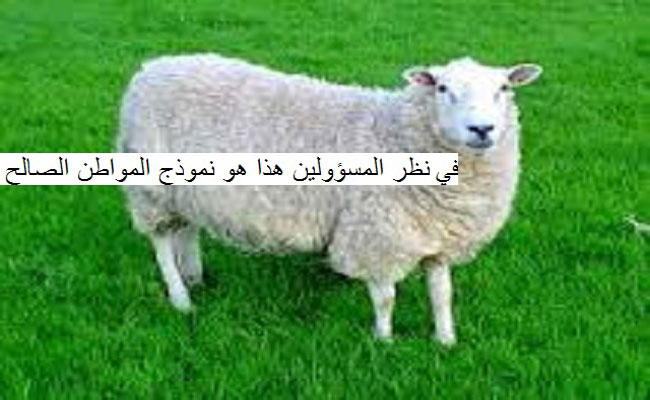 هل يجب ان نكون مثل الحيوانات نفكر في الاكل والنوم والتكاثر لنكون مواطنين صالحين