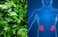 5 فوائد مدهشة لمنقوع البقدونس
