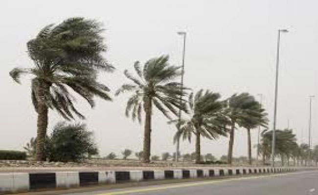 التحذير من رياح قوية ستجتاح شمال الوطن ابتداء من يوم غد الأحد
