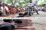 بنغلادش تغدر مسلمي ميانمار بترحيلهم لجزر من يسكن فيها معرض للموت في اي لحظة.
