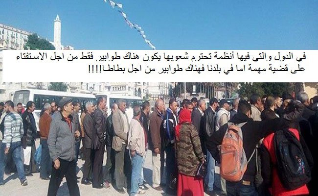 لأسف في بلادنا البنان والبطاطا قبل الديمقراطية والانتخابات