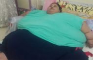 الغارديان: ما السبب وراء التخلي عن إيمان أحمد ؟!
