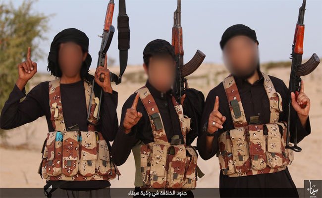 معارض مصري: يجب استغلال لحظات ارتباك النظام