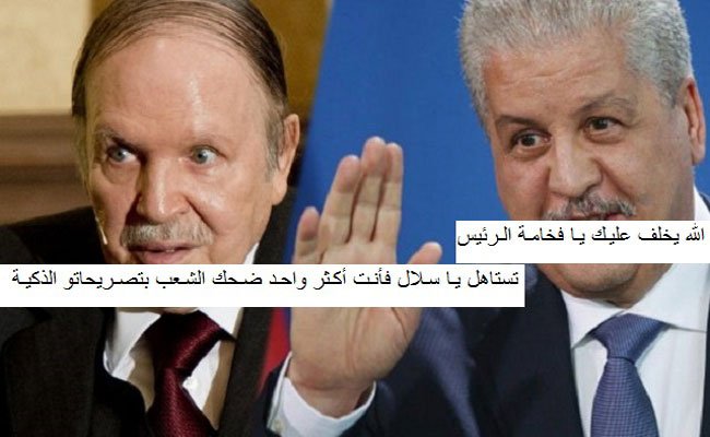 سلال يحطم رقم قياسي عالمي / وبقيت دار الفساد على حالها