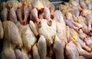 حجز ما يقارب 100 كيلو غرام من لحم الدجاج فاسدة بالبيض