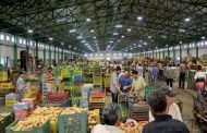 الخضر و الفواكه الموسمية ستكون متوفرة و بأسعار معقولة
