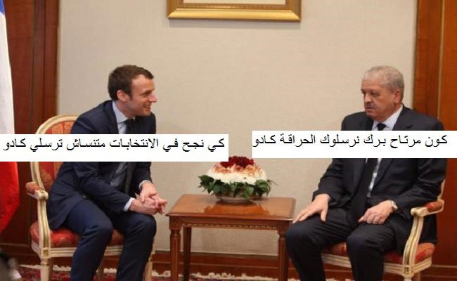 محبوب الجالية الجزائرية والمغاربية يصل إلى قصر الإليزيه