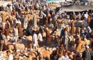 إقدام تجار على ضرب و تكبيل و تجريد لص من ثيابه  في سوق أسبوعي للمواشي بالمسيلة !