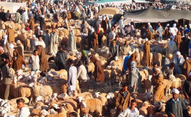 إقدام تجار على ضرب و تكبيل و تجريد لص من ثيابه في سوق أسبوعي للمواشي بالمسيلة !