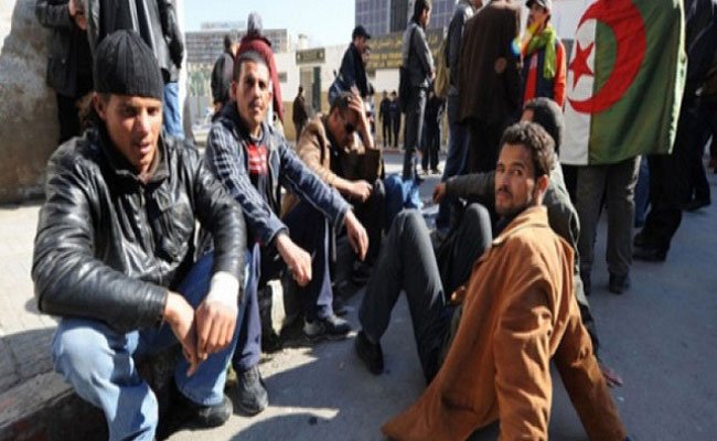 قولها للحكومة ألا يلا لا هي تشغل الأفارقة والمواطن بطال