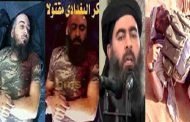 البغدادي تفوق على القطط بـ ثمانية أرواح