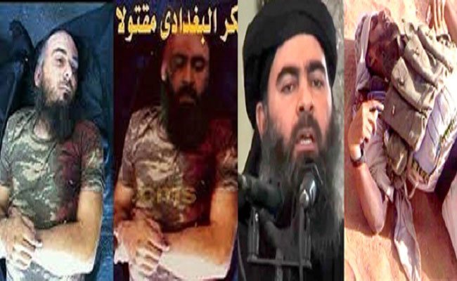 البغدادي تفوق على القطط بـ ثمانية أرواح