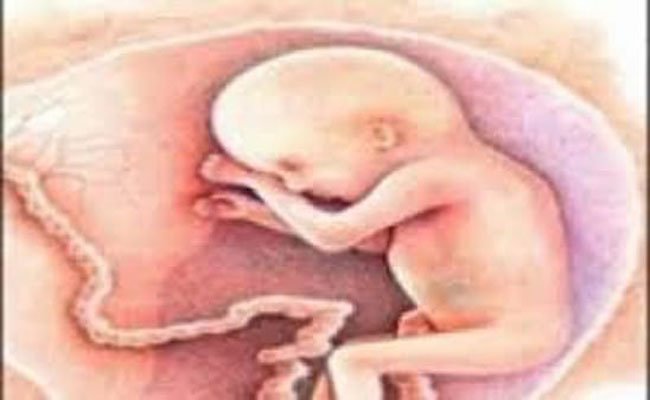 متى يبدأ جنينك بالتغذي منك عن طريق الحبل السري؟