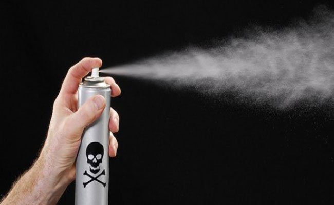 ظهور حشرة غريبة لم تنفع معها المبيدات يثير الرعب وسط ساكنة قالمة
