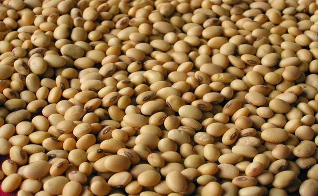 كيف تستفيدين من فول الصويا لخسارة الوزن؟