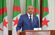 بدوي : 