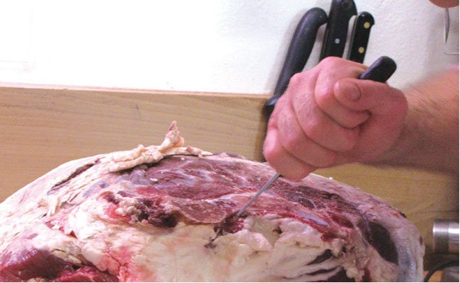 بيان للحماية المدنية يدعو كافة المواطنين إلى اتخاذ الحيطة و الحذر في استعمال أدوات أضحية العيد