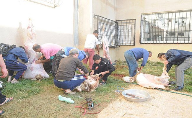 المفتشية الولائية للبيطرة : تسخير أزيد من 150 طبيب بيطري طيلة اليوم الأول و الثاني لعيد الأضحى بولاية الجزائر