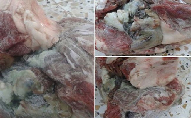 مصادر بيطرية تحذر من احتمال تعفن الاضاحي ليلة العيد، في حالة ما استمرت درجة الحرارة في الارتفاع و تصدر تعليمات وقائية
