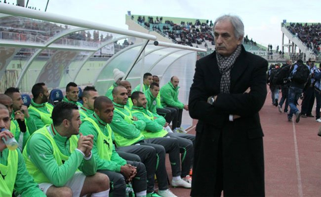 الفاف تفاوض البوسني حليلوزيتش