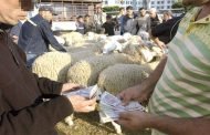 تركيز التشكيل الأمني للعاصمة على حماية الممولين و المواطنين من السرقات المحتملة و صرف العملة المزورة و المراقبة البيطرية